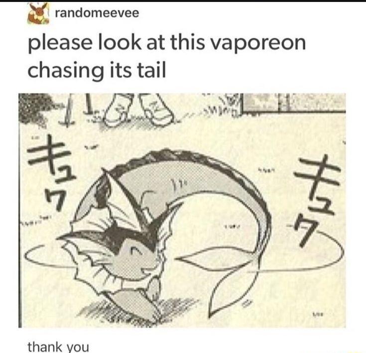 m randomeevee please look at this vaporeon chasing its tail j L e kv