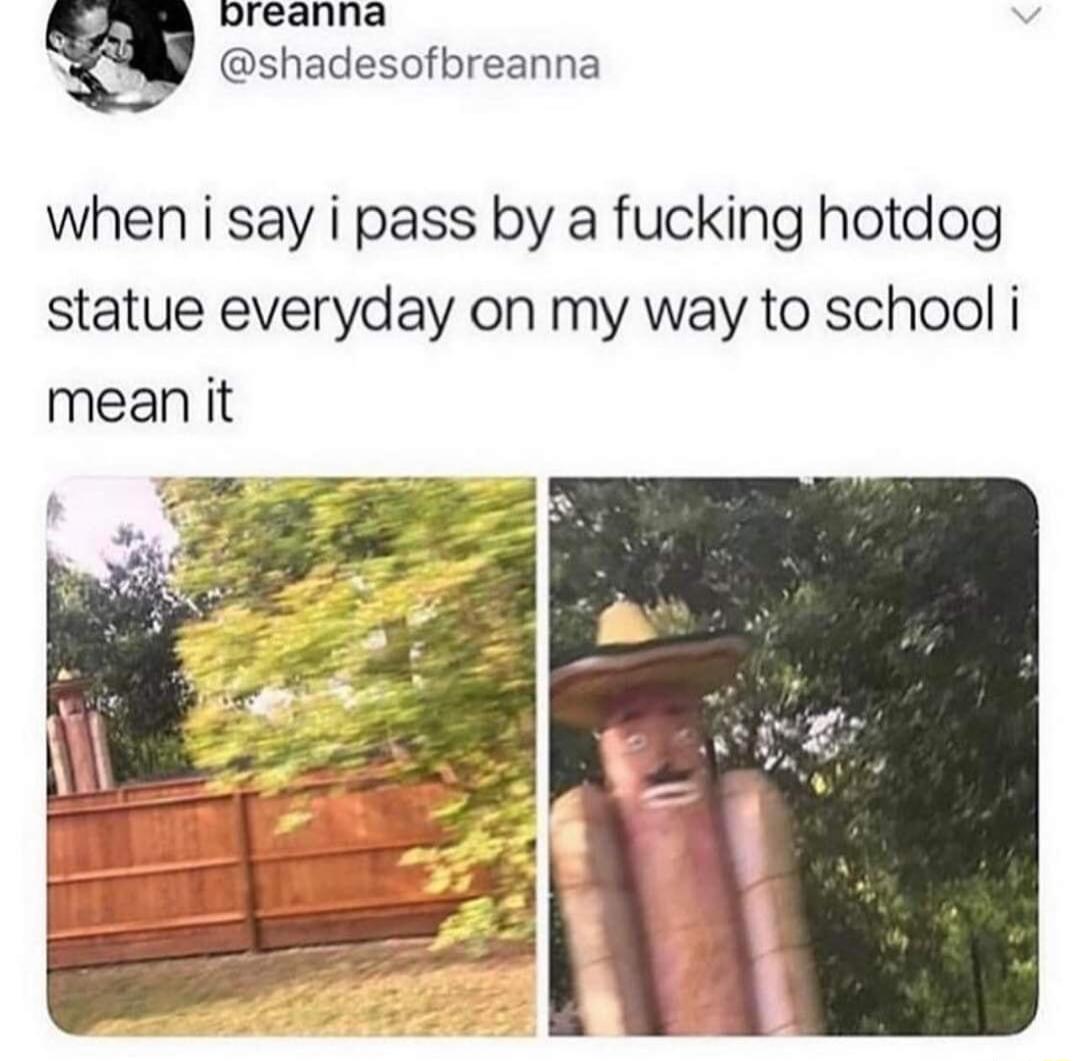 oreanna when i say i pass by a fucking hotdog statue everyday on my way to school i mean it