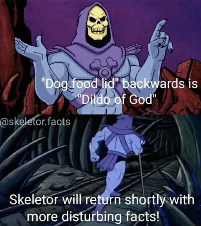 Skeletor WII relx shonTys more disturbing factsl