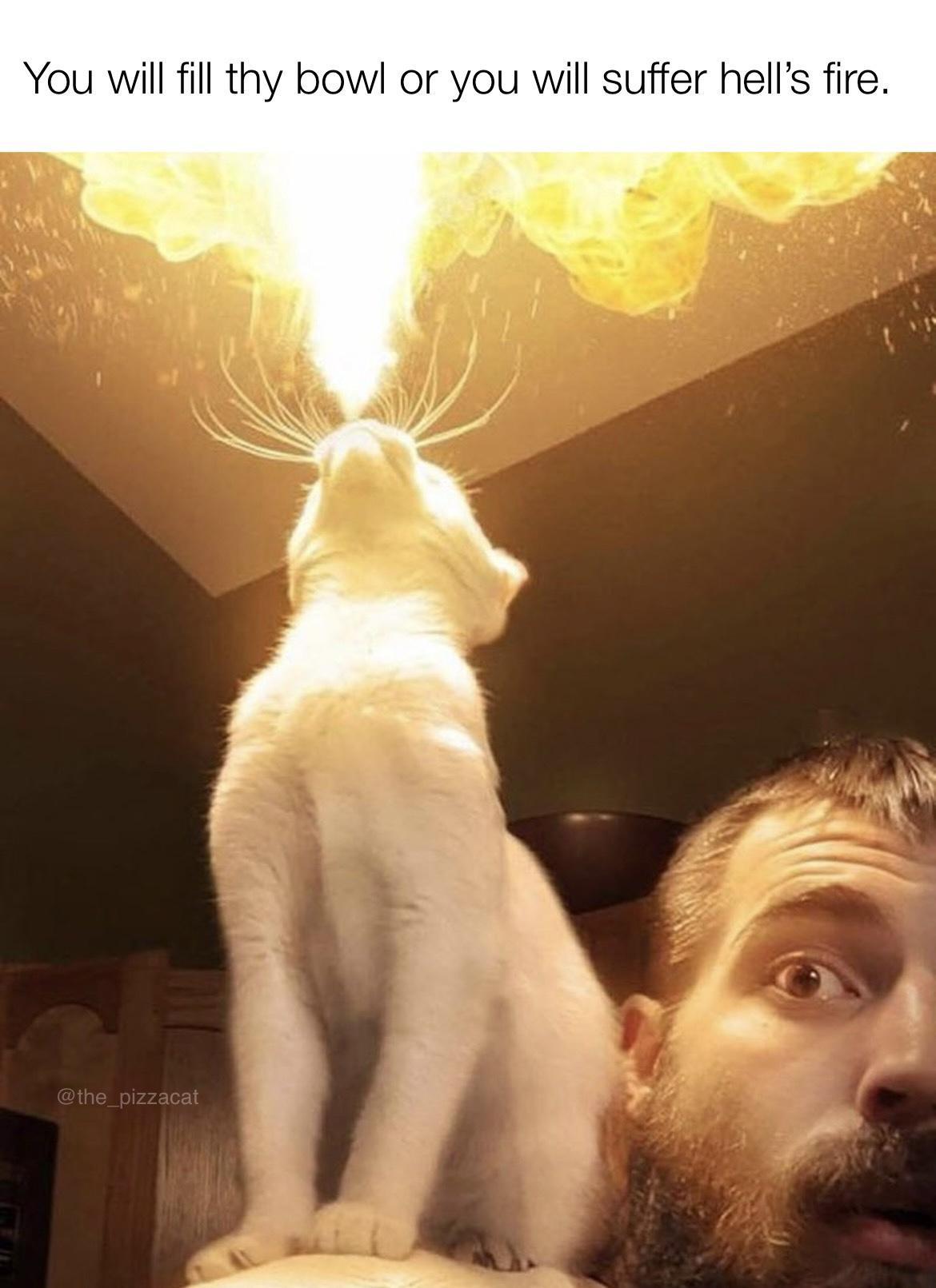 You will fill thy bowl or you will suffer hells fire