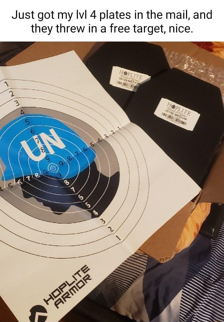 Just got my Ivl 4 plates in the mail and they threw in a free target nice