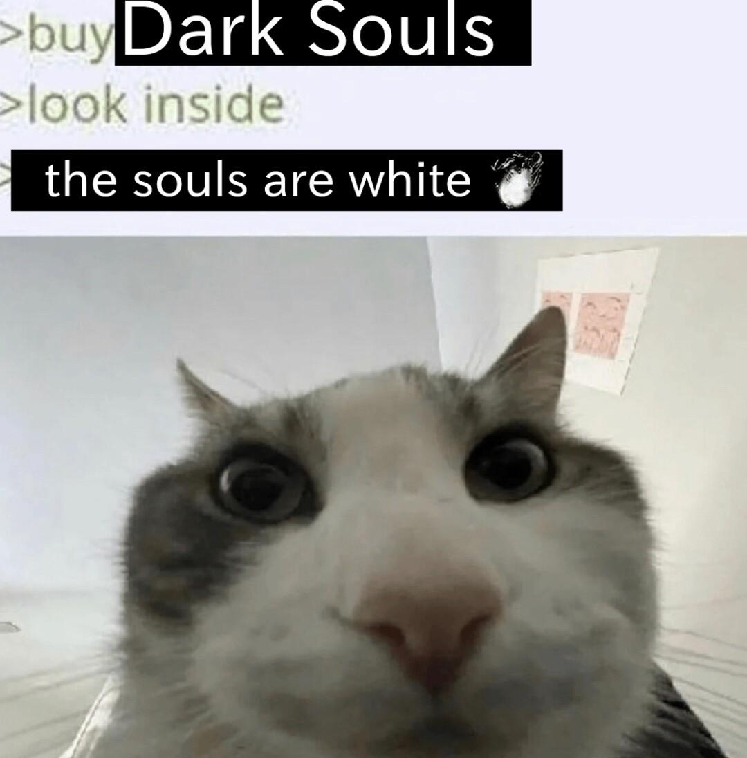 the souls are white