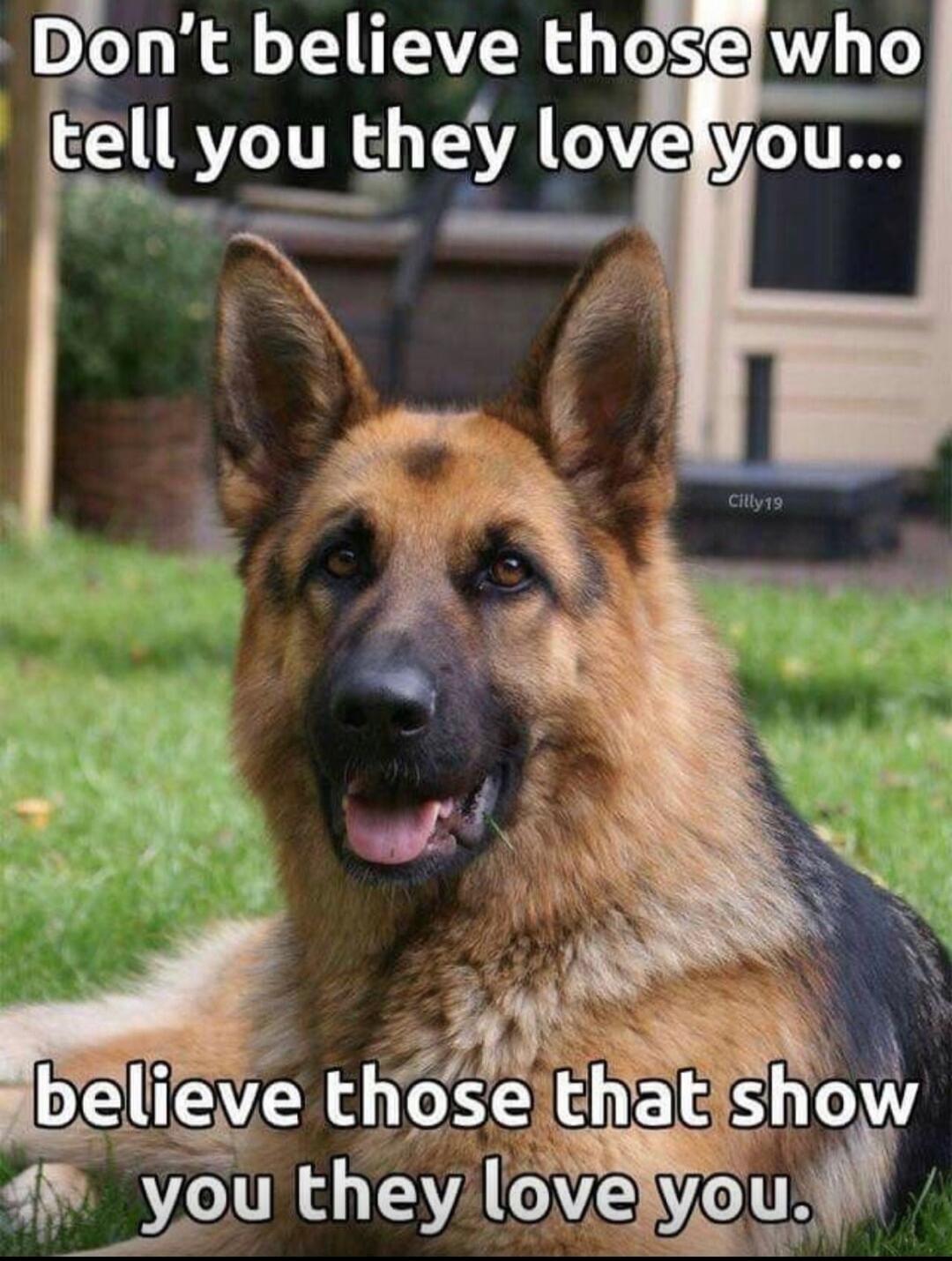 Don't believe those who tell you they love you... believe those that show you they love you.