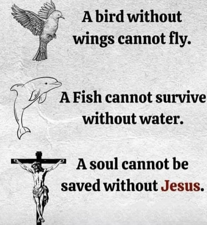 A bird without wings cannot fly. A Fish cannot survive without water. A soul cannot be saved without Jesus.