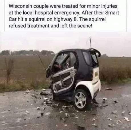 Wisconsin couple were treated for minor injuries at the local hospital emergency After their Smart Car hit a squirrel on highway 8 The squirrel refused treatment and left the scene