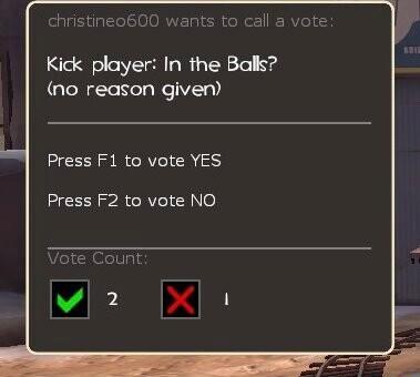 christineo600 wants to call a vote Kick player In the Balls no reason given Press F1 to vote YES HCEERPACRTC o Vote Count