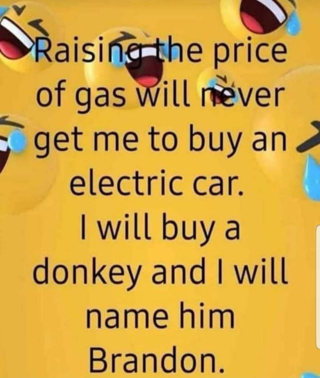 Raising the price of gas will never get me to buy an electric car. I will buy a donkey and I will name him Brandon.