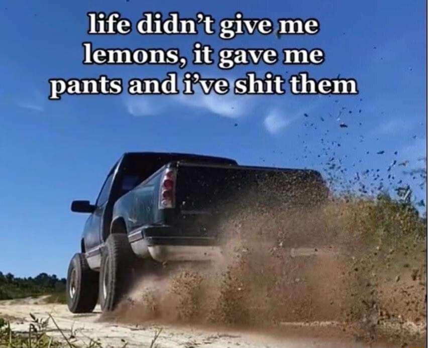 life didnt give me lemons it gave me pants l3nd ivelshitthem
