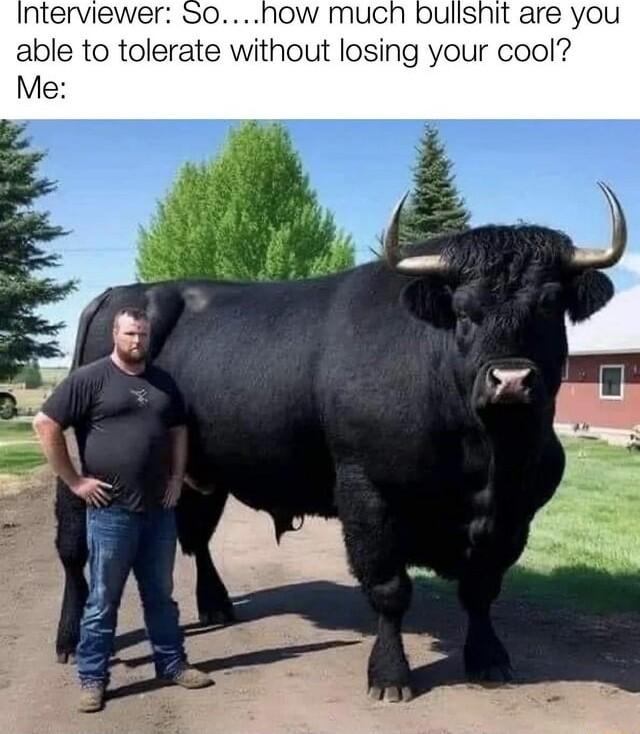 pullshit are you able to toerate wlhout losing your cool Me