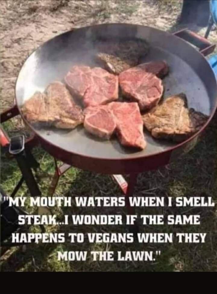 thnu WATERS WHEN I SMELL STEAK1 WONDER IF THE SAME HAPPENS TO VEGANS WHEN THEY AMow THE LAWN it