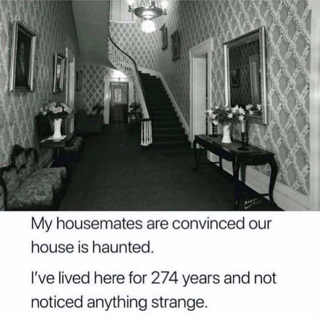 My housemates are convinced our house is haunted Ive lived here for 274 years and not noticed anything strange