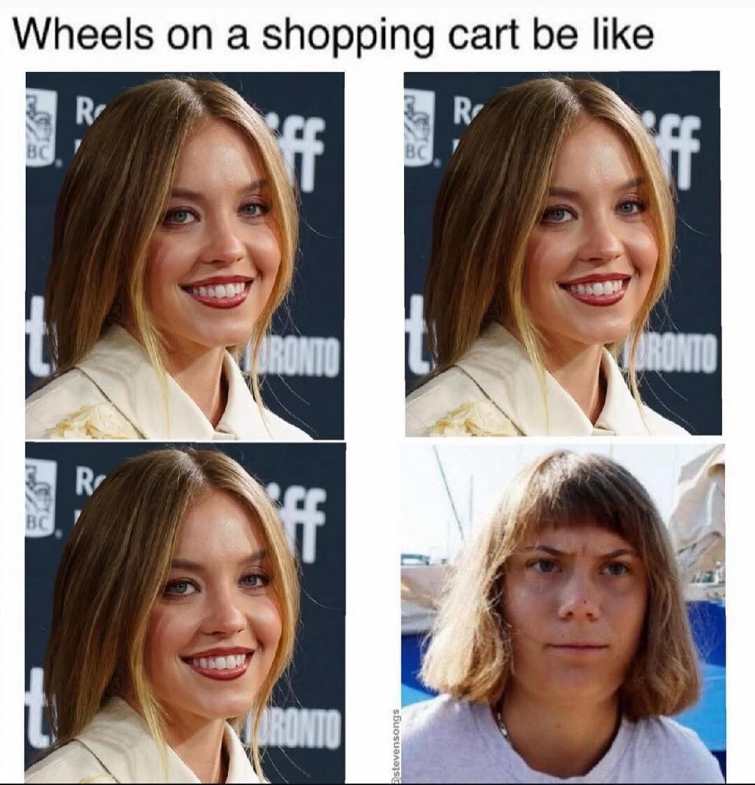 Wheels on a shopping cart be like
