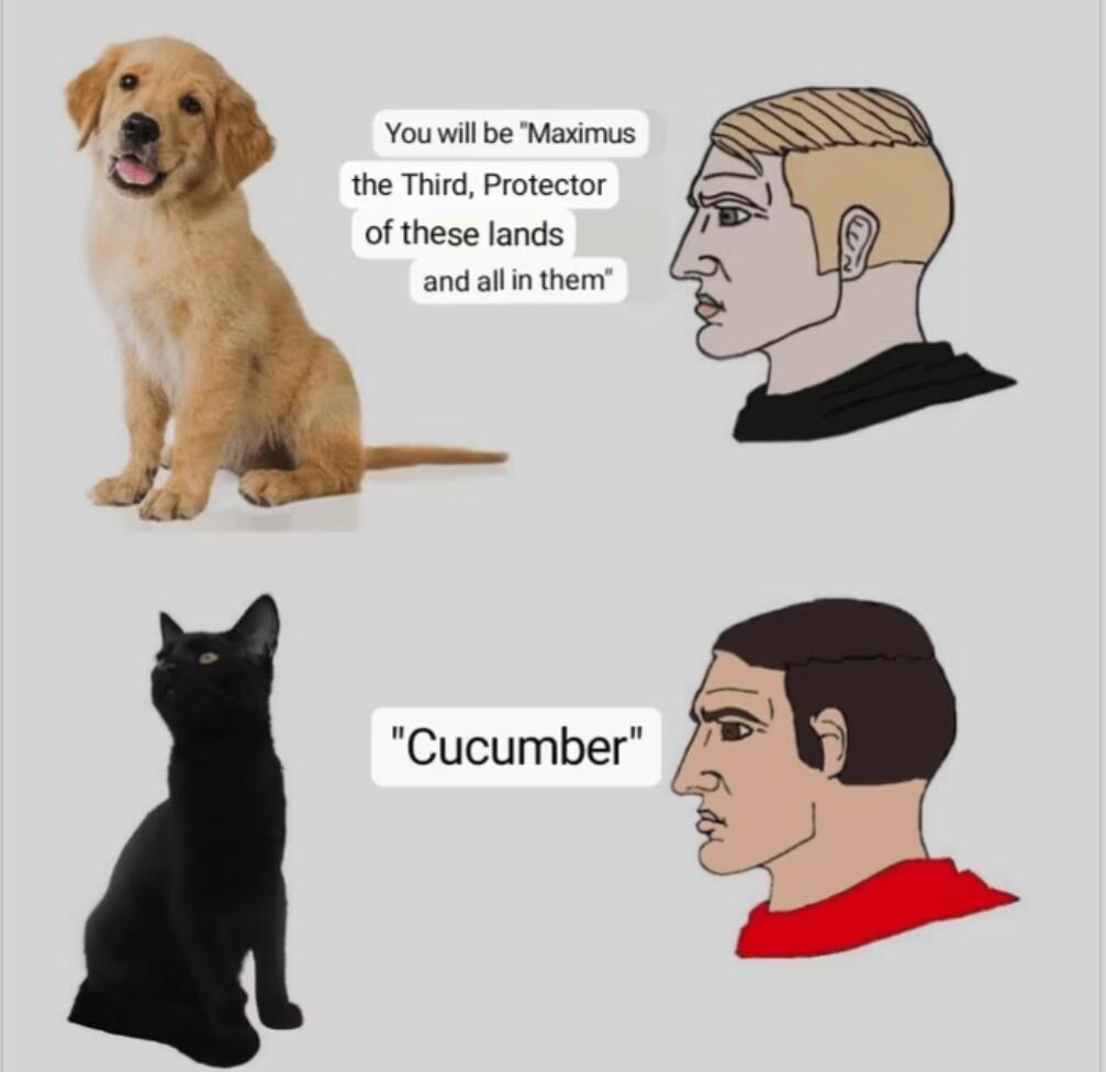 Youwillbe Maximus the Third Protector of these lands and allin then Cucumber