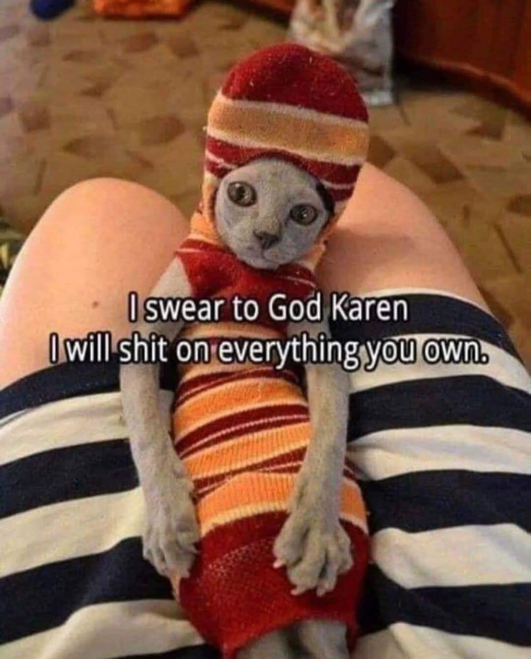 I swear to God Karen I will shit on everything you own.
