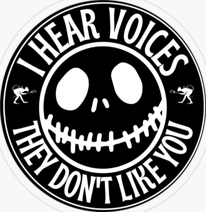 I HEAR VOICES THEY DONT LIKE YOU
