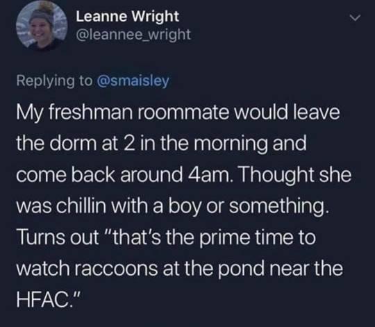 l EELL RN v IEERN R Teo13 Replying to smaisley RIS alntlalelelaplage AU o NIFVY the dorm at 2 in the morning and come back around 4am Thought she was chillin with a boy or something Turns out thats the prime time to watch raccoons at the pond near the HFAC