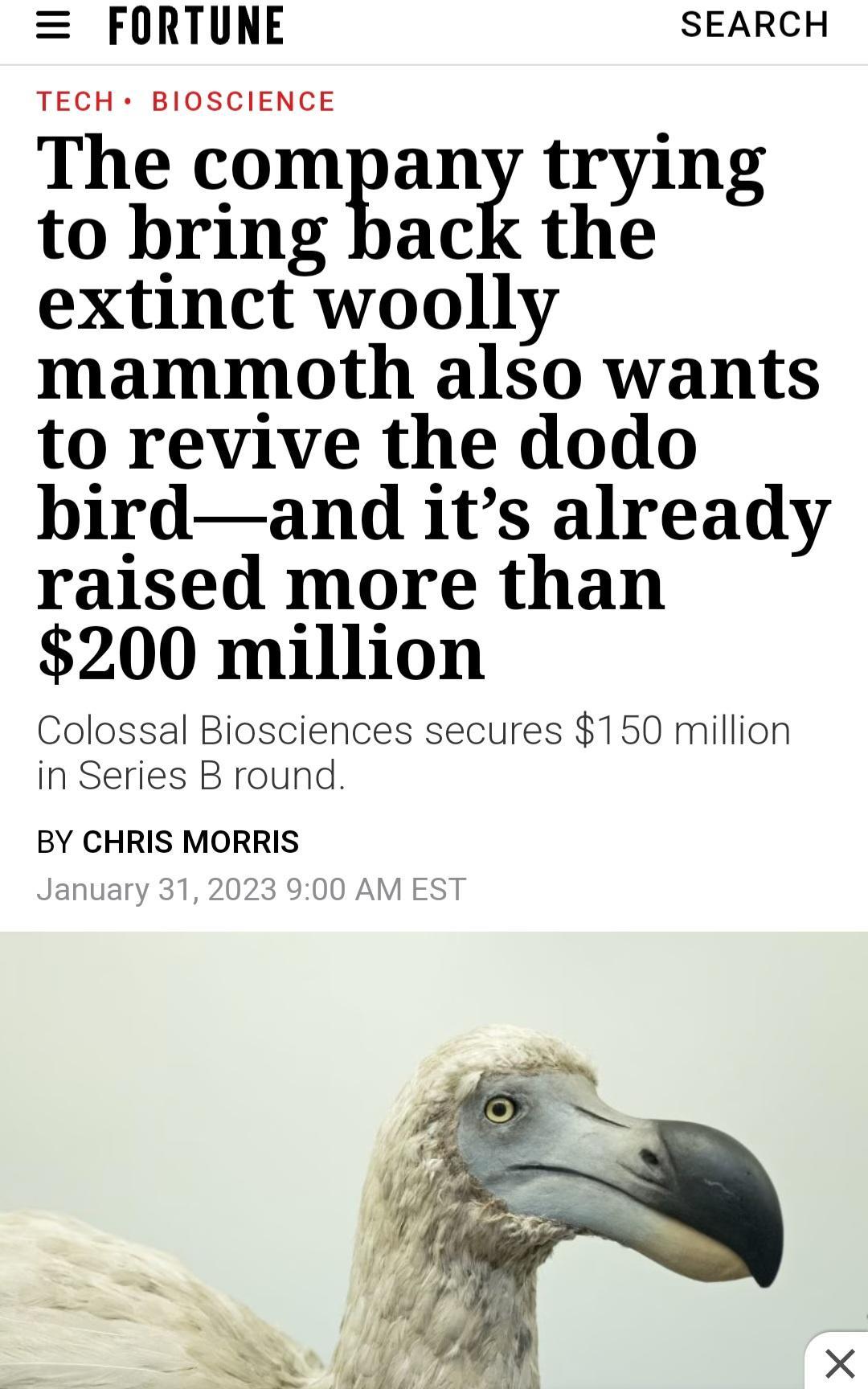 FORTUNE SEARCH The company trying to bring back the extinct woolly mammoth also wants to revive the dodo birdand its already raised more than 200 million Colossal Biosciences secures 150 million in Series B round BY CHRIS MORRIS