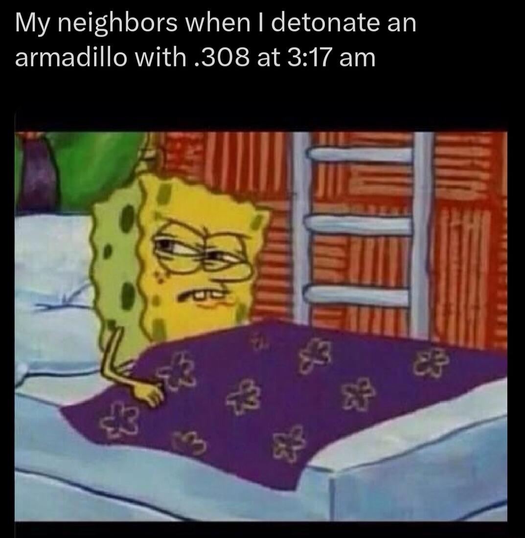 My neighbors when detonate an armadillo with 308 at 317 am
