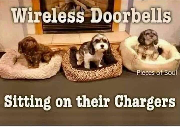 Sitting on their Chargers