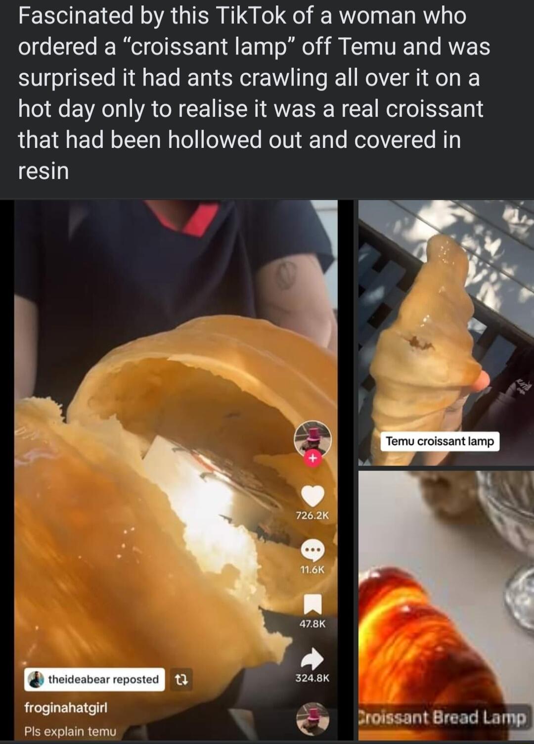 Fascinated by this TikTok of a woman who ordered a croissant lamp off Temu and was surprised it had ants crawling all over it on a hot day only to realise it was a real croissant that had been hollowed out and covered in resin froginahatgir Pis explain temy ant Bread Lamp