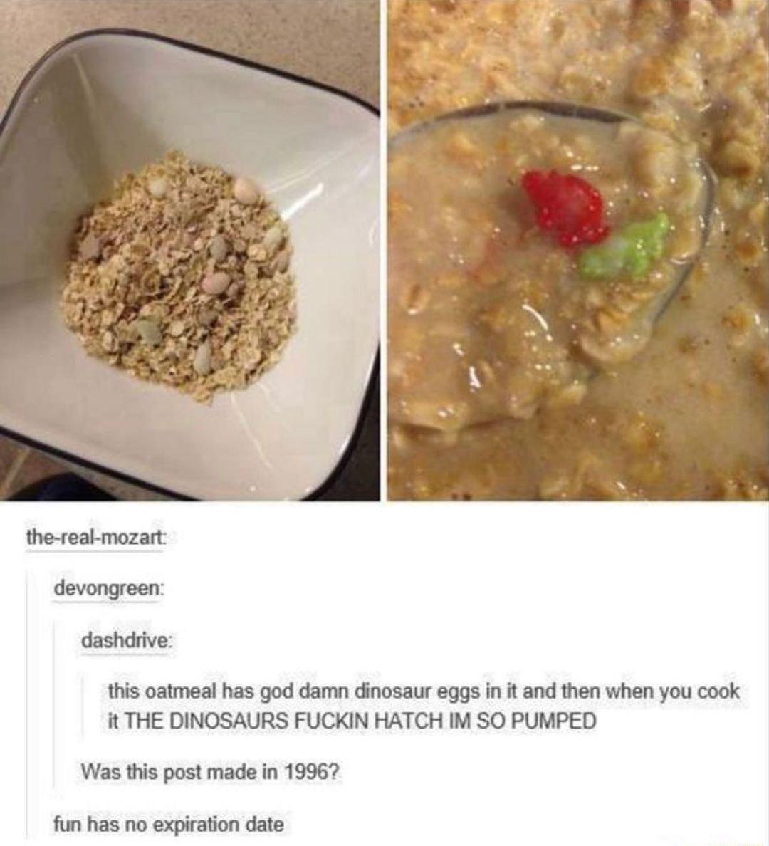 this oatmeal has god damn dinosaur eggs in it and then when you cook it THE DINOSAURS FUCKIN HATCH IM SO PUMPED Was this post made in 19967 fun has no expiration date