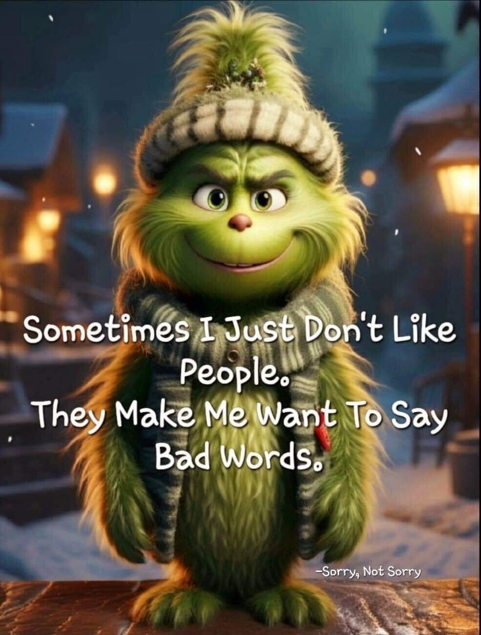 Sometimes I Just Don't Like People. They Make Me Want To Say Bad Words. -Sorry, Not Sorry