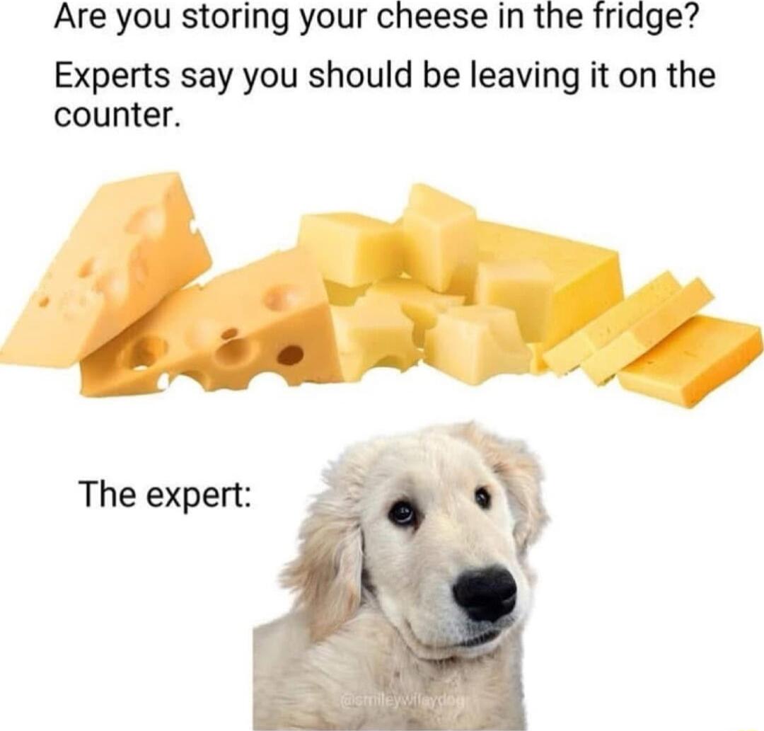 Are you storing your cheese in the fridge Experts say you should be leaving it on the counter The expert