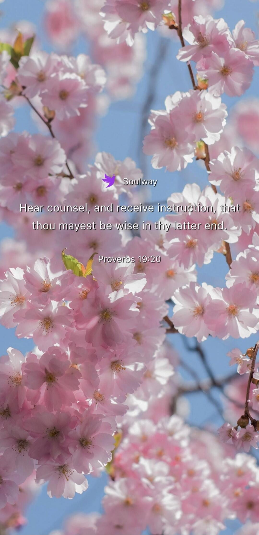 Soulway Hear counsel, and receive instruction, that thou mayest be wise in thy latter end. Proverbs 19:20