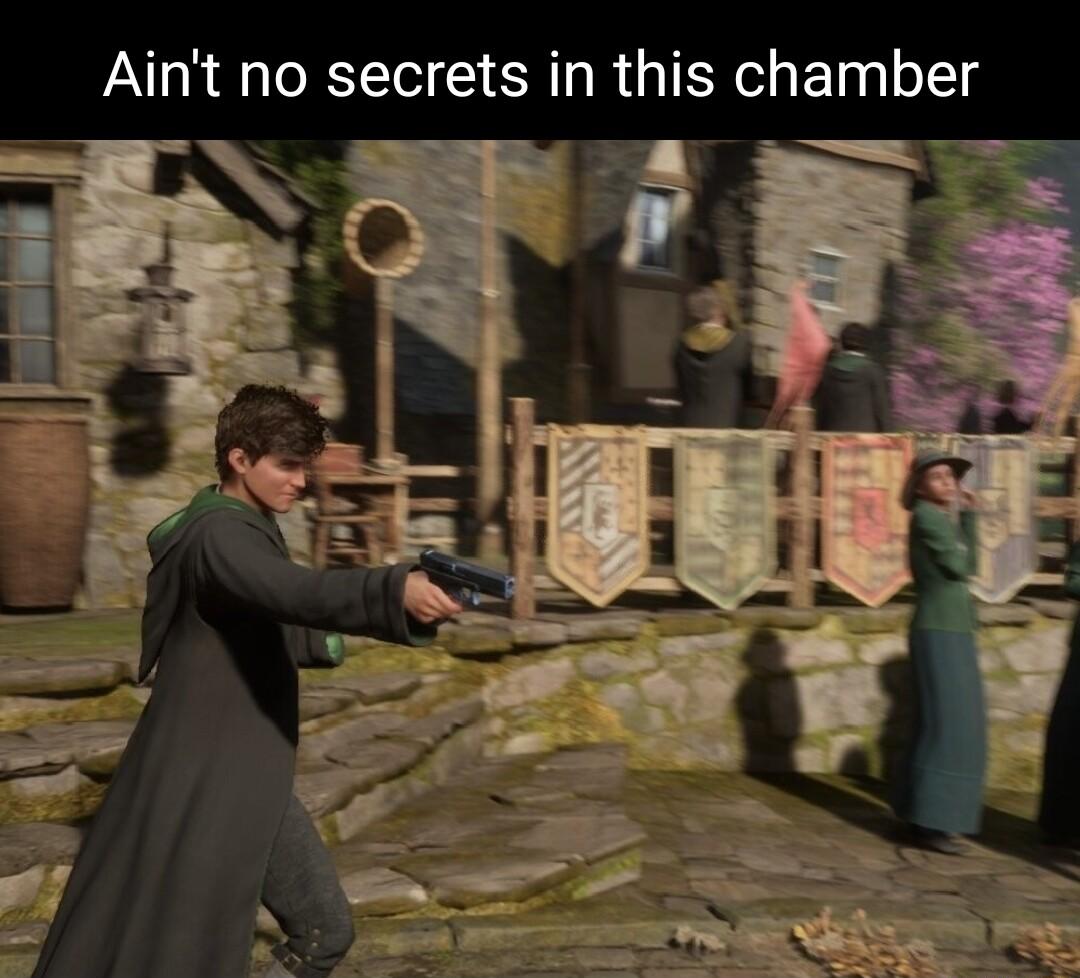 Aint no secrets in this chamber
