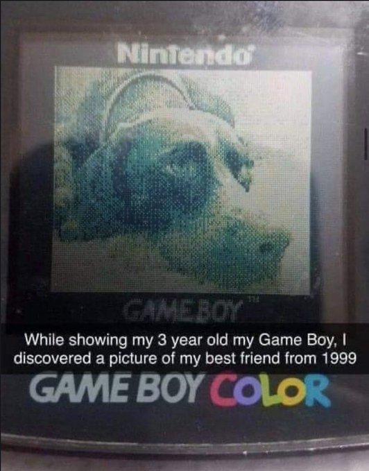 While showing my 3 year old my Game Boy discovered a picture of my best friend from 1999 GAME BOY CoLO