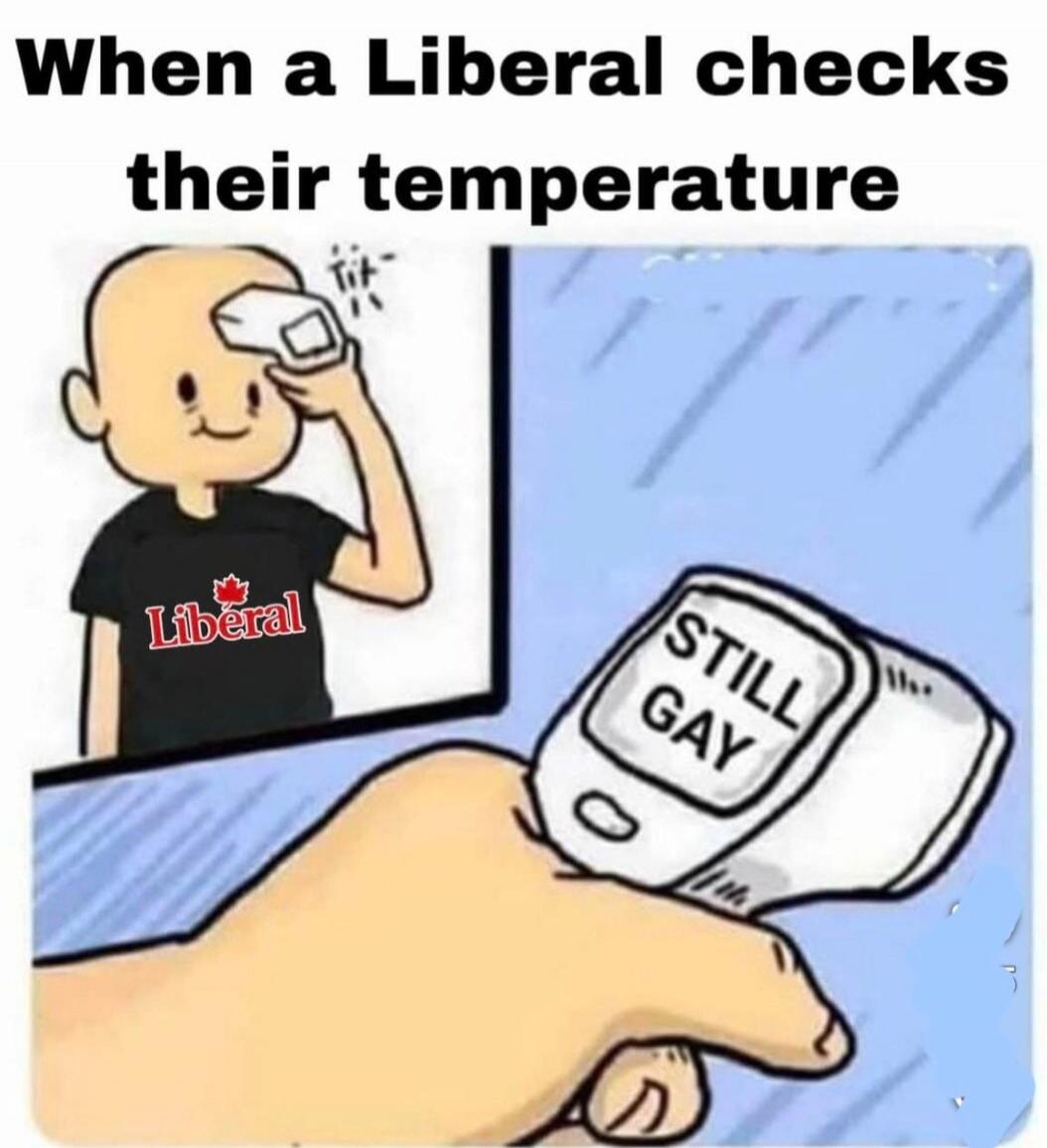 When a Liberal checks their temperature. A cartoon character wearing a black t-shirt with a red maple leaf and the word 'Liberal' is shown checking their forehead with a thermometer. The thermometer, held by another hand, displays the text 'STILL GAY'.