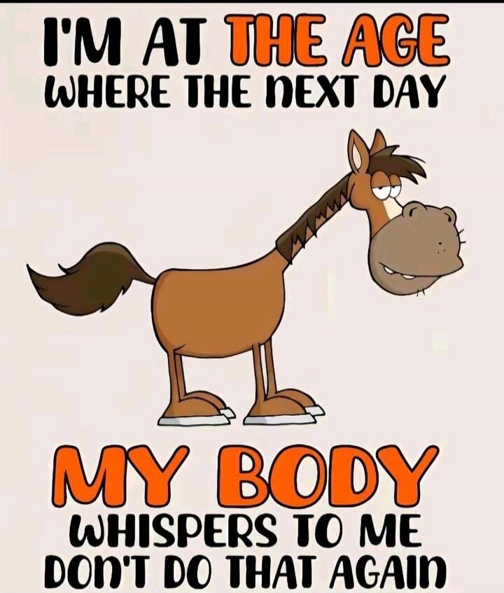 I'M AT THE AGE WHERE THE NEXT DAY MY BODY WHISPERS TO ME DON'T DO THAT AGAIN
