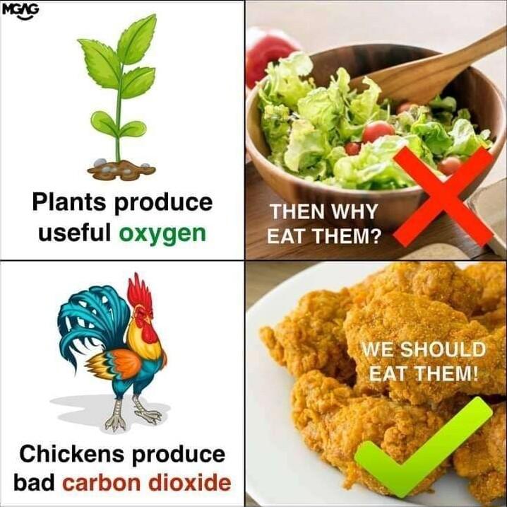 Plants produce THEN WHY useful oxygen EAT THEM Chickens produce bad carbon dioxide