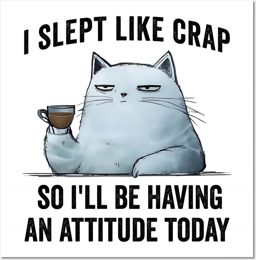 I SLEPT LIKE CRAP SO I'LL BE HAVING AN ATTITUDE TODAY