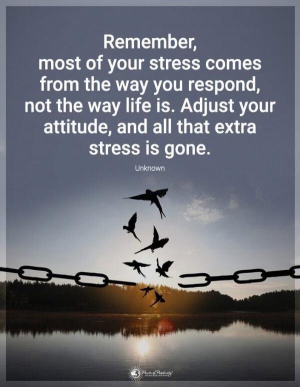 Remember, most of your stress comes from the way you respond, not the way life is. Adjust your attitude, and all that extra stress is gone. Unknown