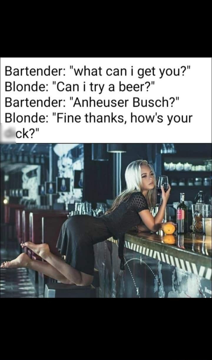Bartender what can i get you Blonde Can i try a beer Bartender Anheuser Busch Blonde Fine thanks hows your