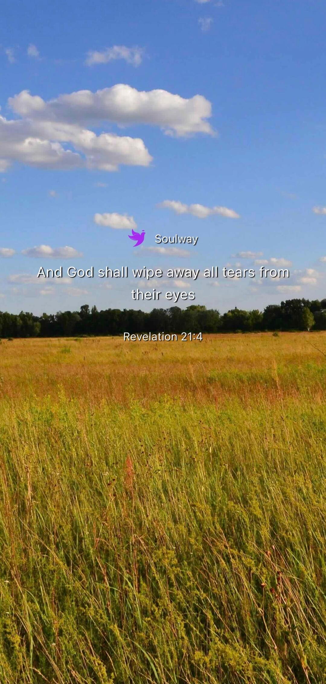 Soulway And God shall wipe away all tears from their eyes Revelation 21:4