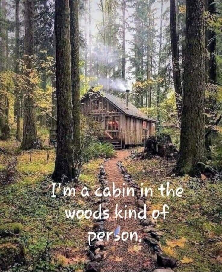 I'm a cabin in the woods kind of person.