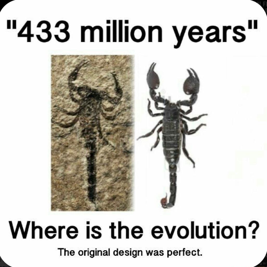 4l B 433 million years o Where is the evolution The original design was perfect L 4