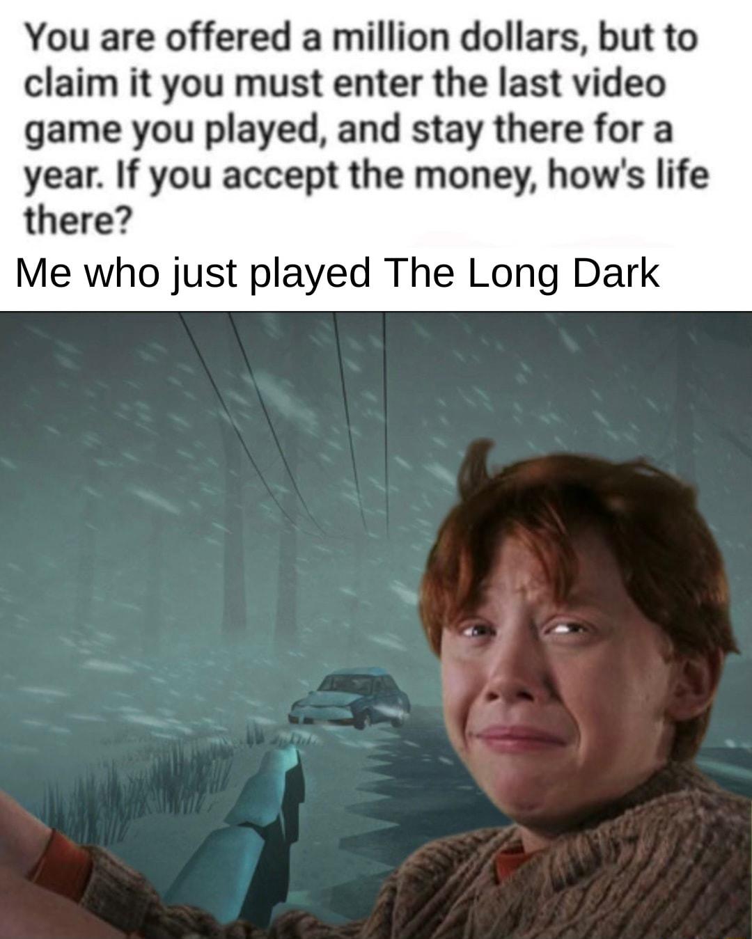 You are offered a million dollars but to claim it you must enter the last video game you played and stay there for a year If you accept the money hows life there Me who just played The Long Dark