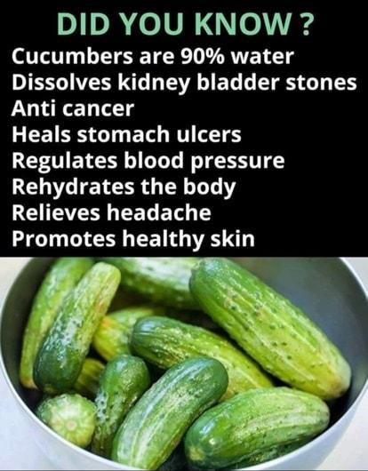 IR o 1VR o s Cucumbers are 90 water IESVERY L TSR EL TS Y Anti cancer RIS TG ET N T Regulates blood pressure LENLIETER G YT LGV EELET T Promotes healthy skin