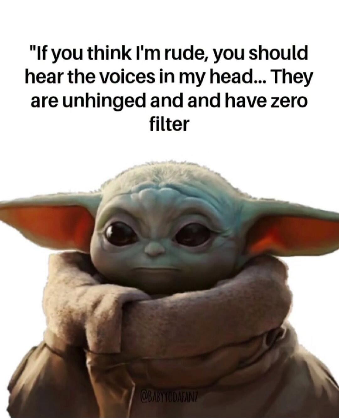 If you think I'm rude, you should hear the voices in my head... They are unhinged and and have zero filter