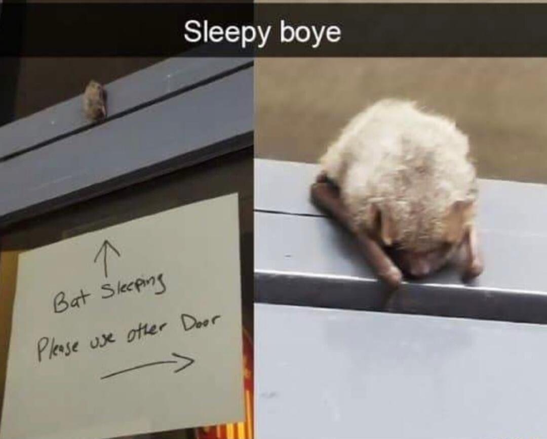 Sleepy boye