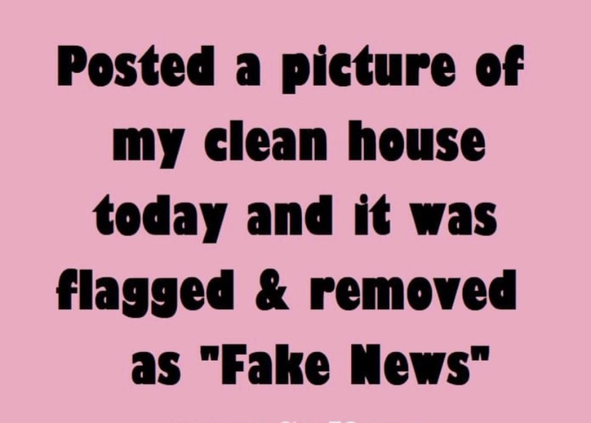 Posted a picture of my clean house today and it was flagged removed as Fake News