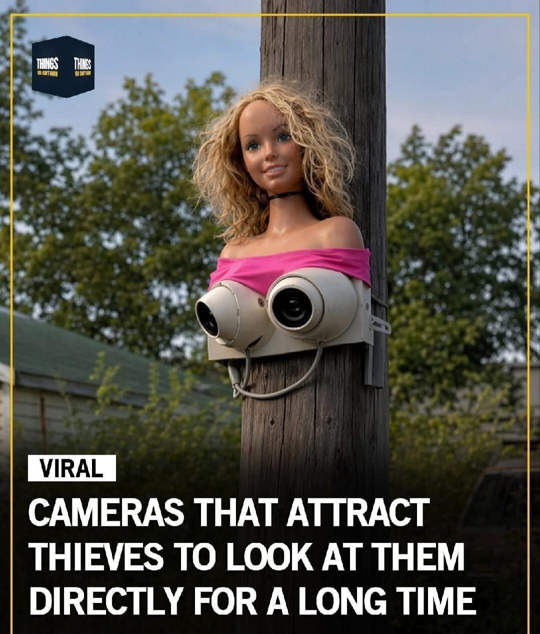 VIRAL CAMERAS THAT ATTRACT THIEVES TO LOOK AT THEM DIRECTLY FOR A LONG TIME