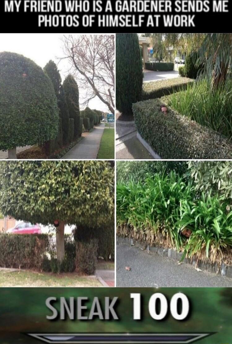 MY FRIEND WHO IS A GARDENER SENDS ME N3 HIMSELF AT WDRK SEYa L