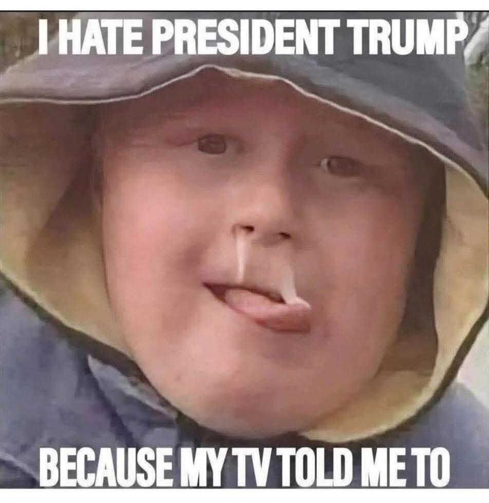 I HATE PRESIDENT TRUMP BECAUSE MY TV TOLD ME TO