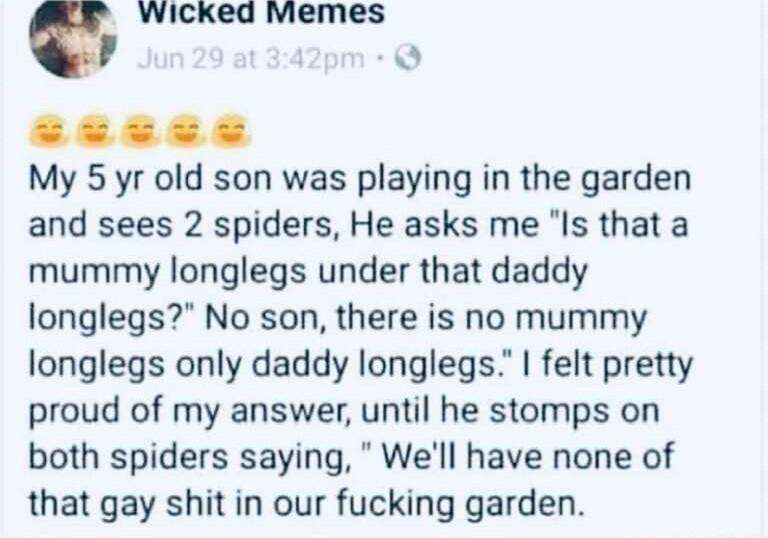 Wicked Miemes 1 FEEEE My 5 yr old son was playing in the garden and sees 2 spiders He asks me Is that a mummy longlegs under that daddy longlegs No son there is no mummy longlegs only daddy longlegs felt pretty proud of my answer until he stomps on both spiders saying Well have none of that gay shit in our fucking garden