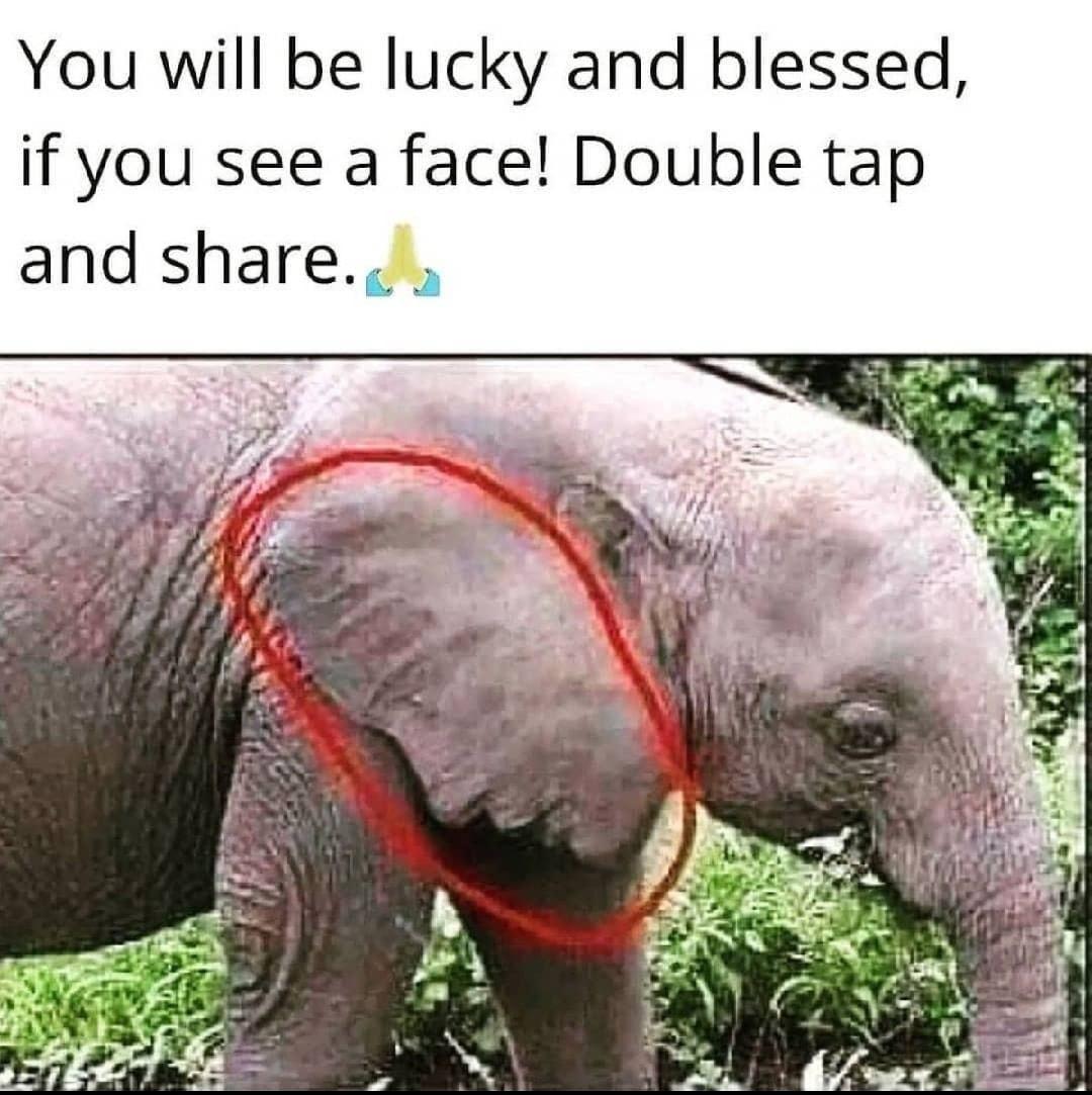 You will be lucky and blessed if you see a face Double tap and share