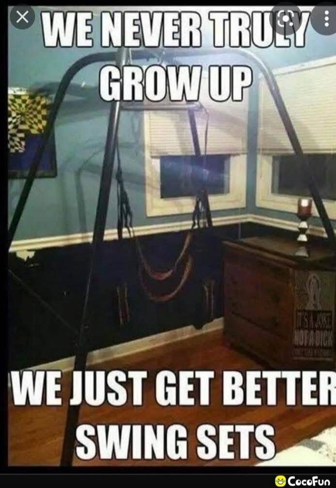 WE NEVER TRULY GROW UP WE JUST GET BETTER SWING SETS